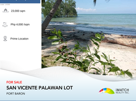  Land for sale in San Vicente, Palawan, San Vicente