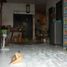 3 Kamar Rumah for sale in Wiyung, East Jawa, Wiyung