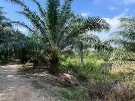  Land for sale in Kuala Langat, Selangor, Tanjong Dua Belas, Kuala Langat