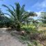  Land for sale in Tanjong Dua Belas, Selangor, Tanjong Dua Belas
