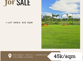  Land for sale in National University Laguna, Calamba City, Calamba City