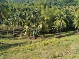  Land for sale in Asturias, Cebu, Asturias