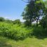  Terrain for sale in Jalisco, Ixtlahuacan De Los Membrillos, Jalisco