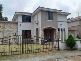 3 Bedroom House for sale in Samborondon, Guayas, Samborondon, Samborondon