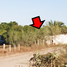 2 Schlafzimmer Haus zu verkaufen in Guasave, Sinaloa, Guasave