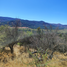  Terrain for sale in Colchagua, Libertador General Bernardo Ohiggins, Chepica, Colchagua