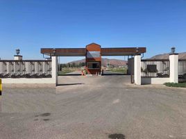  Land for sale in Calera De Tango, Maipo, Calera De Tango