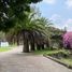  Land for sale in Nealtican, Puebla, Nealtican