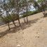  Land for sale in Tumbaco, Pichincha, Tumbaco