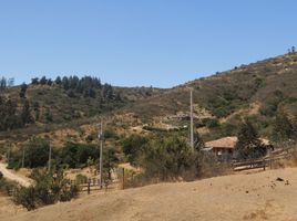  Grundstück zu verkaufen in Melipilla, Santiago, Maria Pinto