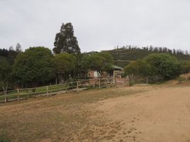  Terreno (Parcela) en venta en Melipilla, Santiago, Maria Pinto, Melipilla