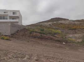  Grundstück zu verkaufen in Tijuana, Baja California, Tijuana, Baja California