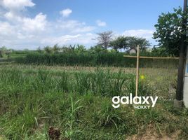  Land for sale in Klungkung, Bali, Klungkung, Klungkung