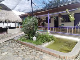 4 Habitación Villa en venta en Alvarado, Tolima, Alvarado