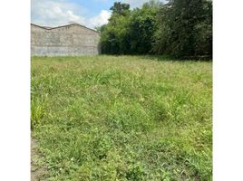  Land for sale in Valle Del Cauca, Palmira, Valle Del Cauca