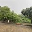  Land for sale in Muntinlupa City, Metro Manila, Muntinlupa City
