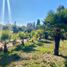 6 Bedroom House for sale in Cauquenes Maule, Pelluhue, Cauquenes