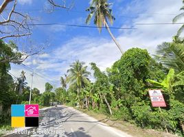  Land for sale in Argao, Cebu, Argao