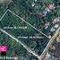  Land for sale in Argao, Cebu, Argao