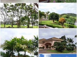  Land for sale in Binan City, Laguna, Binan City