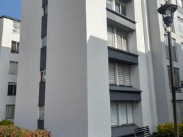 3 Habitación Apartamento en alquiler en Bogotá, Cundinamarca, Bogotá