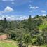  Land for sale in San Vicente, Antioquia, San Vicente
