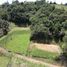  Land for sale in San Vicente, Antioquia, San Vicente