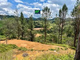  Land for sale in San Vicente, Antioquia, San Vicente