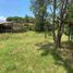  Land for sale in Ciudad Guzman, Jalisco, Ciudad Guzman
