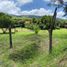  Land for sale in Ciudad Guzman, Jalisco, Ciudad Guzman
