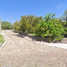  Terreno (Parcela) en venta en Tecozautla, Hidalgo, Tecozautla