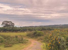  Terreno (Parcela) en alquiler en Bukidnon, Northern Mindanao, Impasug-Ong, Bukidnon