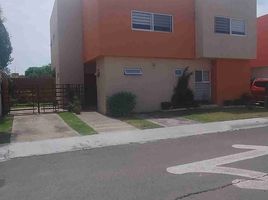 Appartement 4 chambre à vendre à Queretaro, Queretaro, Queretaro, Queretaro