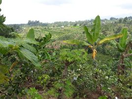  Tanah for sale in Petang, Badung, Petang