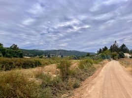  Land for sale in Paredones, Cardenal Caro, Paredones