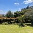  Terrain for sale in Tumbaco, Quito, Tumbaco