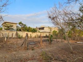  Land for sale in Compostela, Nayarit, Compostela