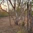  Land for sale in Compostela, Nayarit, Compostela