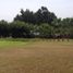 在Lurin, Lima出售的 土地, Lurin