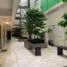 3 Bedroom Apartment for sale in Miguel Hidalgo, Mexico City, Miguel Hidalgo, Mexico City