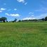  Terreno (Parcela) en venta en Xaltocan, Tlaxcala, Xaltocan