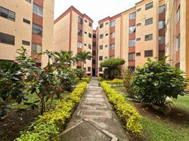 3 Bedroom Apartment for sale in Palmira, Valle Del Cauca, Palmira