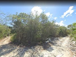  Terrain for sale in Cancun, Quintana Roo, Cancun