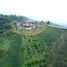 14 Bedroom Villa for sale in Marsella, Risaralda, Marsella
