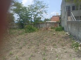  Terreno (Parcela) en venta en Cuernavaca, Morelos, Cuernavaca