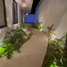 Condominium 1 chambre à vendre à Cozumel, Quintana Roo, Cozumel