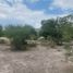  Land for sale in Tecamachalco, Puebla, Tecamachalco