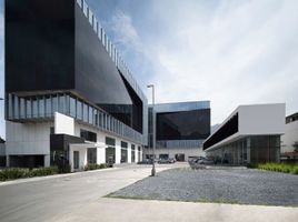 80 m2 Office for rent in Monterrey, Nuevo Leon, Monterrey