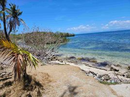  Land for sale in Bounty Beach, Daanbantayan, Daanbantayan