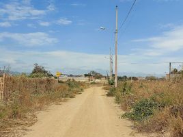  Terreno (Parcela) en venta en Montecristi, Manabi, Montecristi, Montecristi